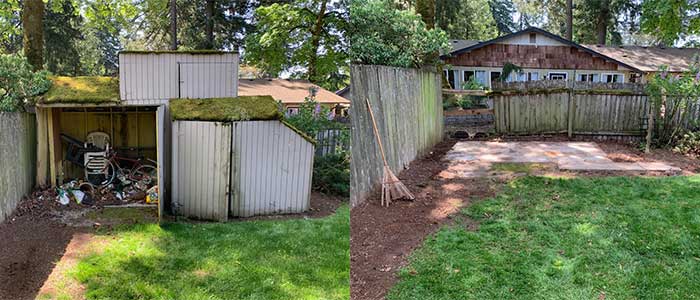 Before and After Old Shed Tear Down and Removal by Mike & Dad’s Hauling in Salem OR